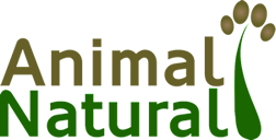 Animal Natural