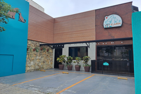 Interior da Clínica Veterinária Klabin