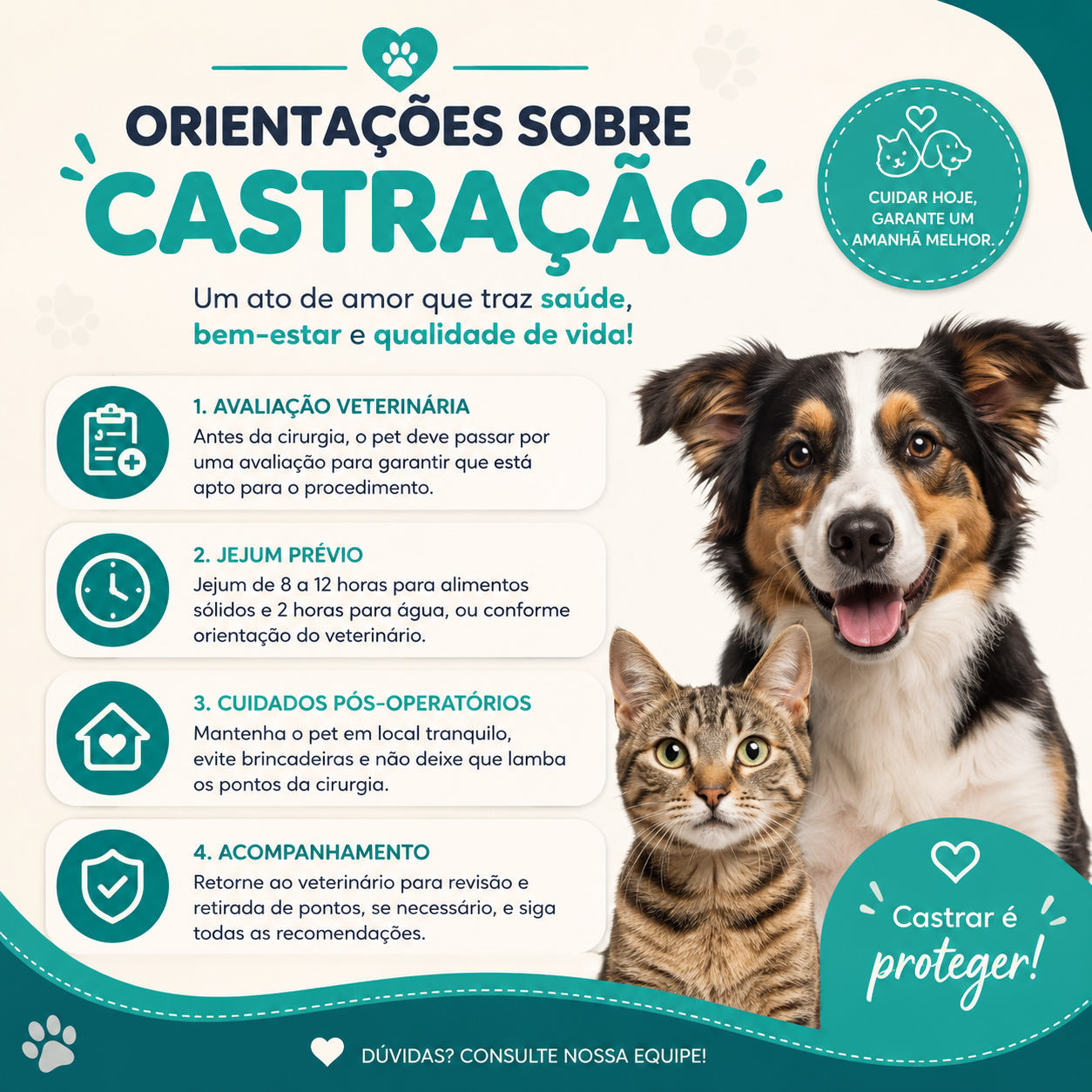 Ilustração sobre castração de cães e gatos