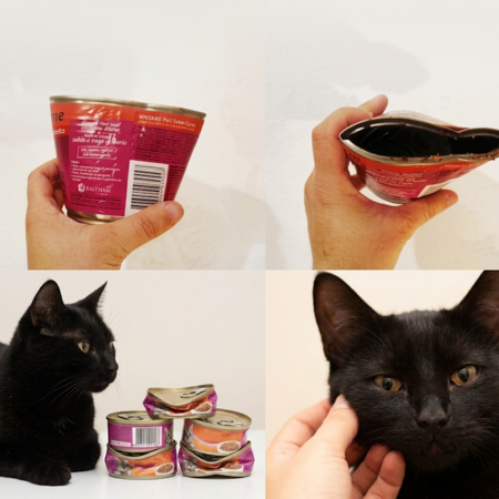 Ilustração sobre amassar latas para proteger gatos de rua