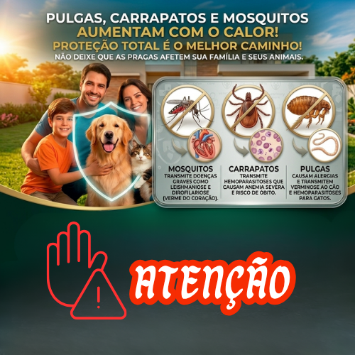 Ilustração sobre pulgas, carrapatos e mosquitos em cães e gatos